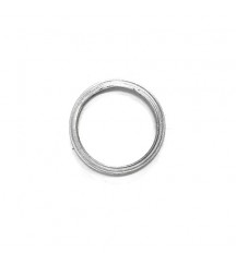 Sealing ring 20405569
